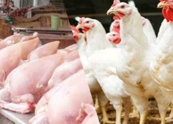 مرغی کے گوشت کی تازہ قیمت میں اضافہ