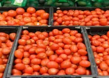 پاکستان میں آج ٹماٹر کی قیمت 600 روپے فی کلو — تازہ ترین ریٹ رپورٹ