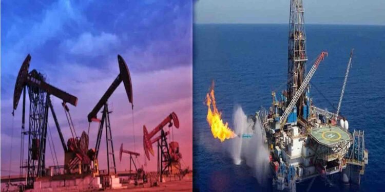 پاکستان اور ترکی کی سرکاری کمپنیوں کے درمیان تیل و گیس معاہدے پر دستخط