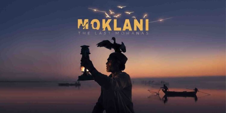 موکلانی فلم