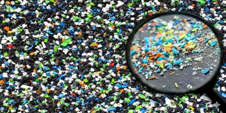 پلاسٹک کے ننھے ذرات کے اثرات انسانی معدے پر تحقیق