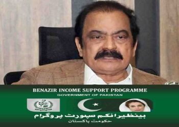 رانا ثنااللہ کی بے نظیر انکم سپورٹ پروگرام کے ڈیٹا پر تنقید