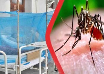 راولپنڈی میں ڈینگی کی صورتحال کے دوران اسپتال میں زیر علاج مریض