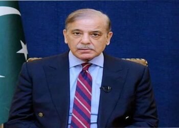 وزیراعظم شہباز شریف فلسطین کے حوالے سے پالیسی بیان دیتے ہوئے