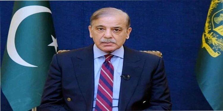 وزیراعظم شہباز شریف فلسطین کے حوالے سے پالیسی بیان دیتے ہوئے