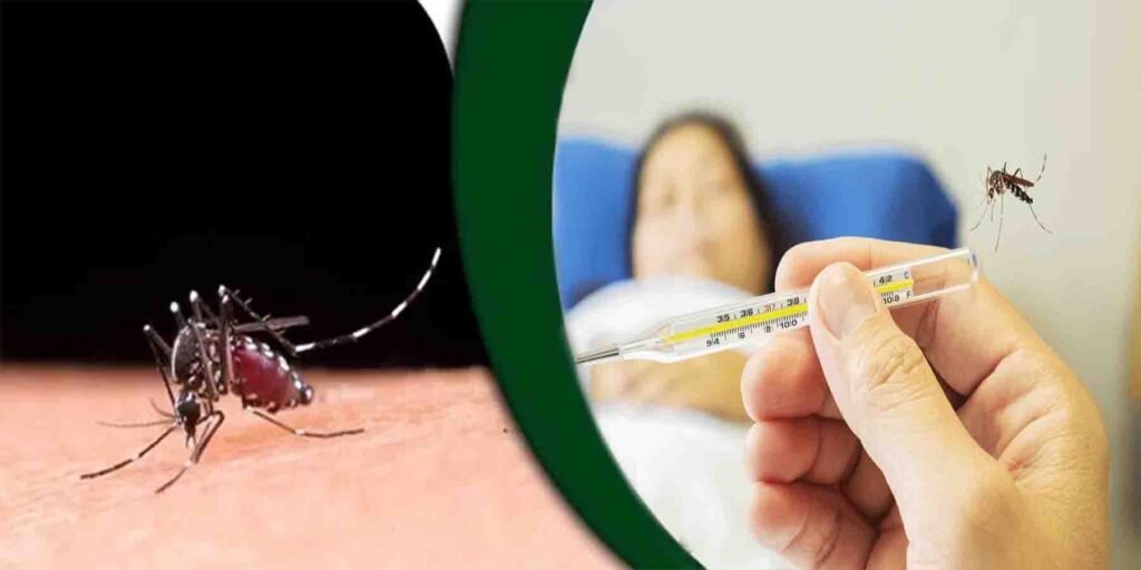 سندھ میں ڈینگی کے کیسز ہسپتال میں علاج کے دوران