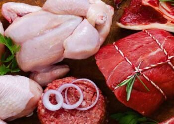 صرف گوشت پر مبنی خوراک کے فائدے اور نقصانات