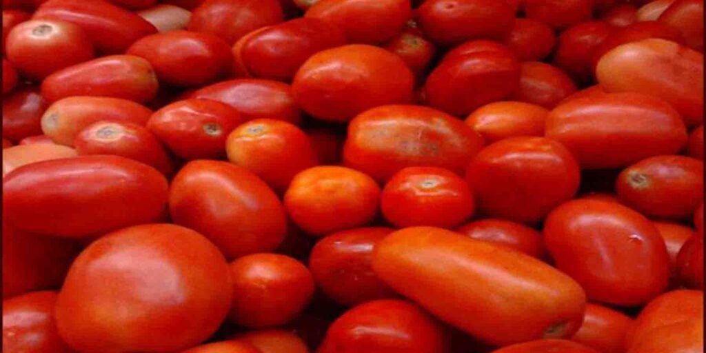 کوئٹہ میں ٹماٹر کی قیمتیں بڑھنے کی تازہ صورتحال