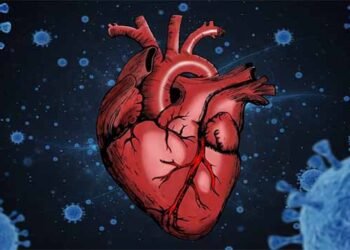 وائرل انفیکشن اور ہارٹ اٹیک کے درمیان تعلق پر طبی ماہرین کی نئی تحقیق