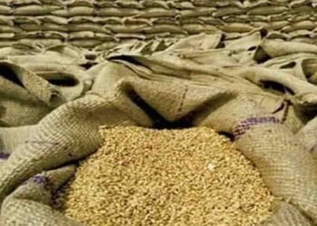 ملک میں گندم کا بحران اور بڑھتی ہوئی قیمتیں