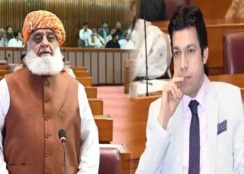 سینیٹر فیصل واوڈا اور مولانا فضل الرحمان کی ملاقات، 27ویں ترمیم پر مشاورت