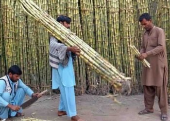 گنے کے کاشتکار احتجاجی بینرز اٹھائے ریلی نکال رہے ہیں۔