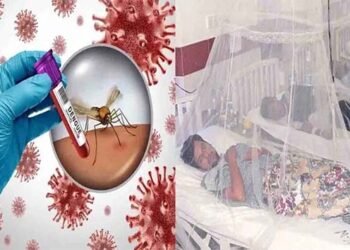 اسلام آباد میں ڈینگی کے وار تیز — مزید 10 مریض سامنے آ گئے