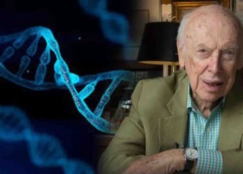 ڈی این اے کی ساخت