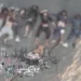 خیبر پختونخوا میں سیکیورٹی فورسز کے آپریشنز ، 13 بھارتی حمایت یافتہ خوارج ہلاک