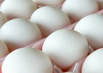 "پلاسٹک کے انڈوں کی پہچان کے آسان طریقے اور ماہرین کی وضاحت"