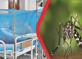 سندھ میں ڈینگی کی سنگین صورتحال کے باعث اسپتالوں میں مریضوں کا رش