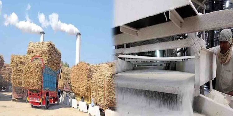 پاکستان میں چینی کی بڑھتی قیمتیں اور حکومت کا شوگر سیکٹر ڈی ریگولیٹ کرنے کا فیصلہ
