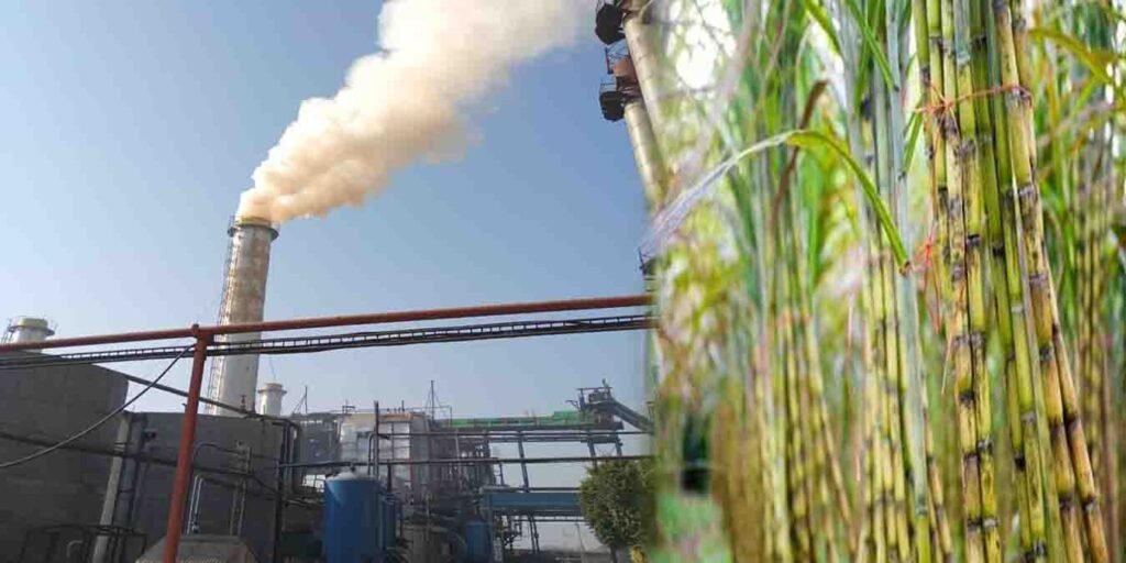 پنجاب میں 27 شوگر ملوں نے کرشنگ سیزن کا آغاز کردیا