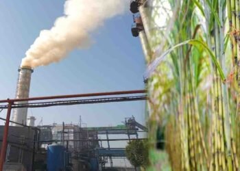 پنجاب میں 27 شوگر ملوں نے کرشنگ سیزن کا آغاز کردیا