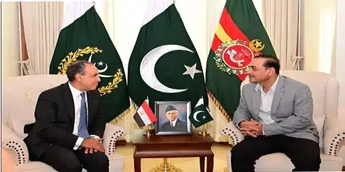 آرمی چیف عاصم منیر سے مصری وزیر خارجہ کی ملاقات